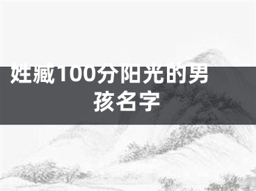 姓臧100分阳光的男孩名字