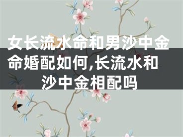 女长流水命和男沙中金命婚配如何,长流水和沙中金相配吗