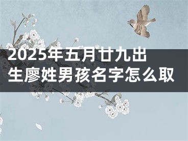 2025年五月廿九出生廖姓男孩名字怎么取