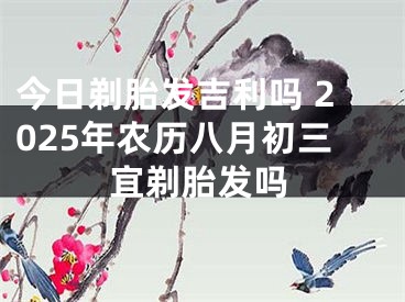 今日剃胎发吉利吗 2025年农历八月初三宜剃胎发吗