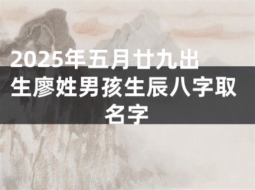 2025年五月廿九出生廖姓男孩生辰八字取名字
