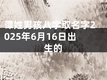 谭姓男孩八字取名字2025年6月16日出生的