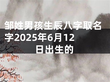 邹姓男孩生辰八字取名字2025年6月12日出生的