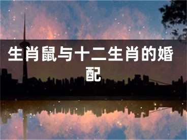 生肖鼠与十二生肖的婚配