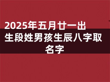 2025年五月廿一出生段姓男孩生辰八字取名字