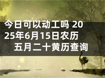 今日可以动工吗 2025年6月15日农历五月二十黄历查询