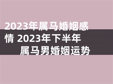 2023年属马婚姻感情 2023年下半年属马男婚姻运势