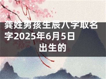 龚姓男孩生辰八字取名字2025年6月5日出生的