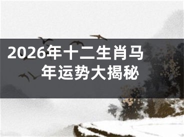 2026年十二生肖马年运势大揭秘