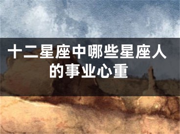 十二星座中哪些星座人的事业心重