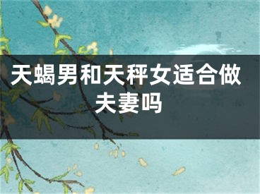 天蝎男和天秤女适合做夫妻吗
