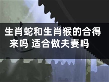 生肖蛇和生肖猴的合得来吗 适合做夫妻吗