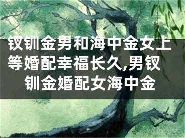 钗钏金男和海中金女上等婚配幸福长久,男钗钏金婚配女海中金