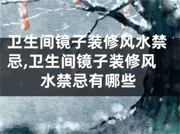 卫生间镜子装修风水禁忌,卫生间镜子装修风水禁忌有哪些