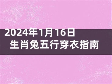 2024年1月16日生肖兔五行穿衣指南