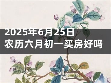 2025年6月25日农历六月初一买房好吗