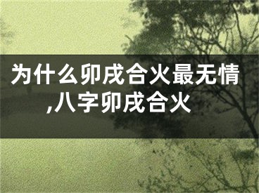 为什么卯戌合火最无情,八字卯戌合火
