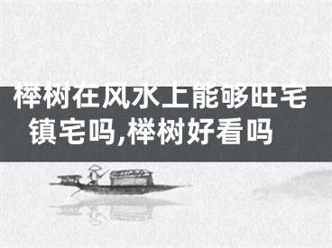 榉树在风水上能够旺宅镇宅吗,榉树好看吗