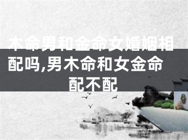 木命男和金命女婚姻相配吗,男木命和女金命配不配