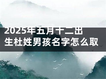 2025年五月十二出生杜姓男孩名字怎么取