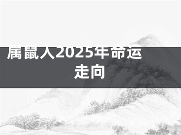 属鼠人2025年命运走向