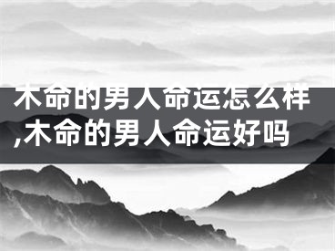 木命的男人命运怎么样,木命的男人命运好吗
