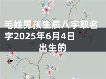 毛姓男孩生辰八字取名字2025年6月4日出生的