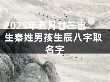2025年五月廿三出生秦姓男孩生辰八字取名字