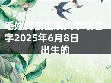 毛姓男孩生辰八字取名字2025年6月8日出生的