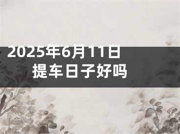 2025年6月11日提车日子好吗 