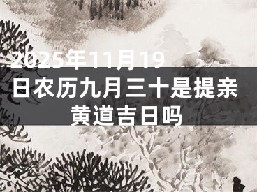 2025年11月19日农历九月三十是提亲黄道吉日吗