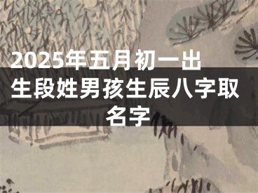 2025年五月初一出生段姓男孩生辰八字取名字