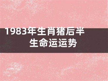 1983年生肖猪后半生命运运势