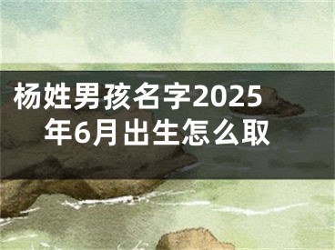 杨姓男孩名字2025年6月出生怎么取