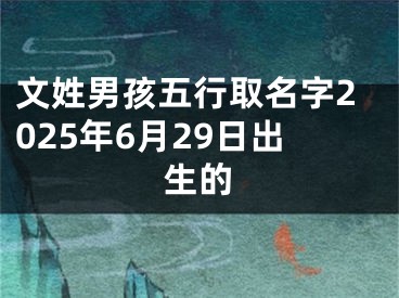 文姓男孩五行取名字2025年6月29日出生的