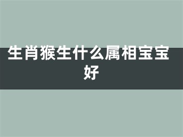 生肖猴生什么属相宝宝好