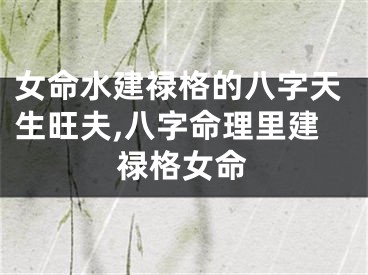 女命水建禄格的八字天生旺夫,八字命理里建禄格女命