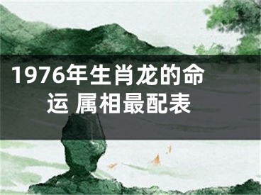 1976年生肖龙的命运 属相最配表
