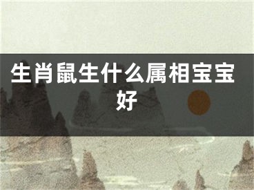生肖鼠生什么属相宝宝好