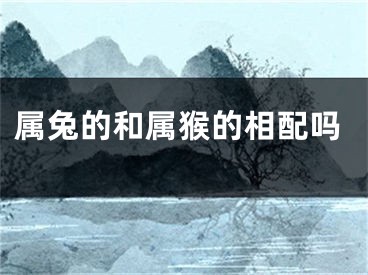 属兔的和属猴的相配吗