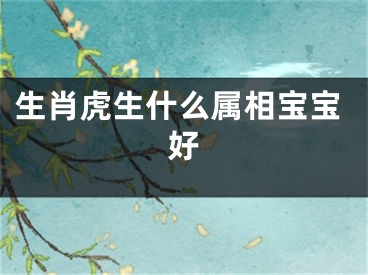 生肖虎生什么属相宝宝好