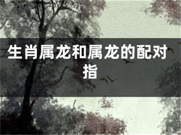生肖属龙和属龙的配对指