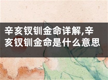 辛亥钗钏金命详解,辛亥钗钏金命是什么意思