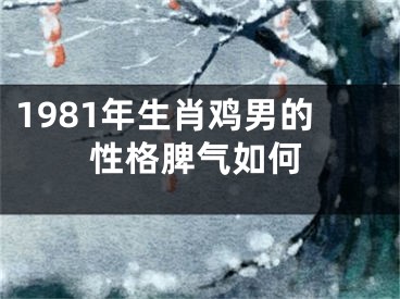 1981年生肖鸡男的性格脾气如何