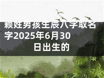 赖姓男孩生辰八字取名字2025年6月30日出生的