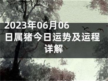2023年06月06日属猪今日运势及运程详解