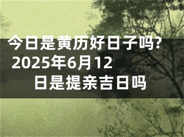 今日是黄历好日子吗? 2025年6月12日是提亲吉日吗