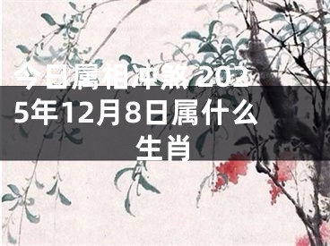 今日属相冲煞 2025年12月8日属什么生肖