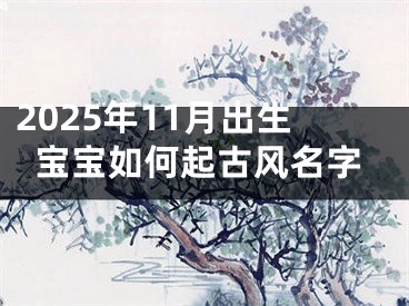 2025年11月出生宝宝如何起古风名字
