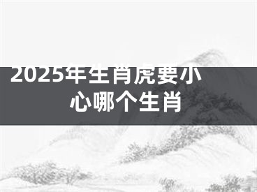 2025年生肖虎要小心哪个生肖